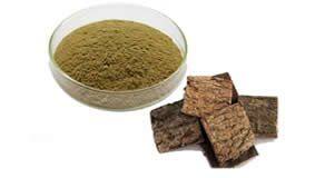 Eucommia eucommia extract