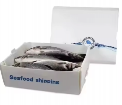 Insulated PP Hollow Sheet Packaging – Durable Solutions for Fresh Seafood
