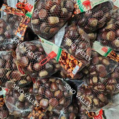 China Authentic Taishan Organic Fresh Chestnut Nutritious Sweet with NOP HALAL HACCP KOSHER Chinese Exporter Wholesale