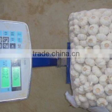 Jinxiang garlic for cooking,for cooking,clear garlic, year garlic,fresh garlic, chinese garlic