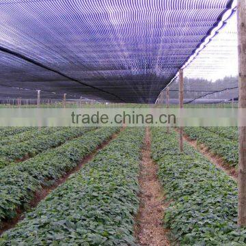 HDPE Sun Shade Netting with Accessories Plastic Clips Customized design shape and size with 5% Uv treatment for greenhouse use