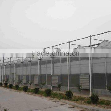 Commercial Greenhouse for hydroponics system