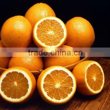 Navel Orange