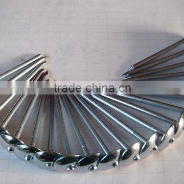 hot sale BWG8~BWG19 galvanized umbrella head roofing nails