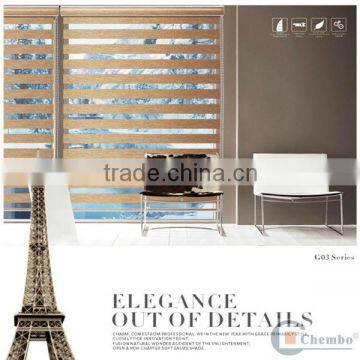 2013 Elegant & Luxury Manual Zebra Blind photo-2