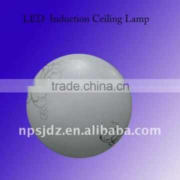 10.525GHz Microwave led induction ceiling light IP54