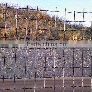 euro fence meshes/euro fence wire mesh