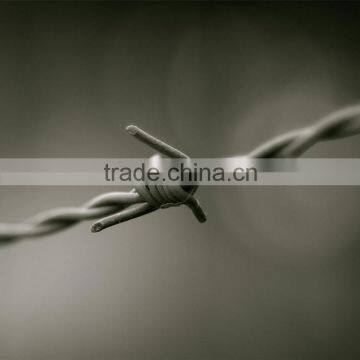 weight barbed wire fence Barbed wire fencing real factory galvanized decorative barbed wire double loop wire fence