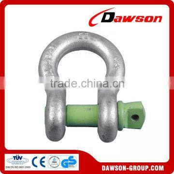 Screw Pin Bow Anchor Shackle for Sale photo-4