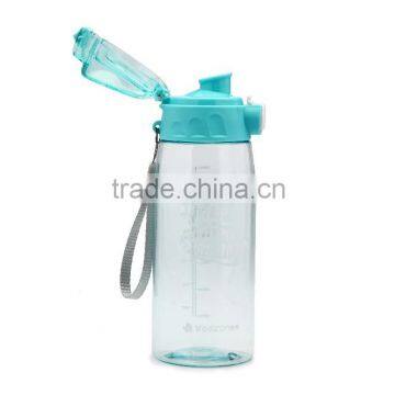 BPA Free Wholesale Plastic Beverage Bottle for Gift