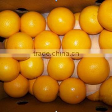 fresh navel orange