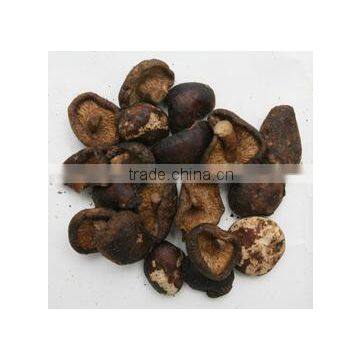 Mushroom --VF Healthy Snacks