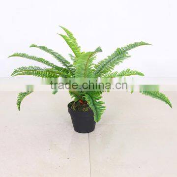 Wholesale Bonsai Plant Artificial Indoor Tree photo-2