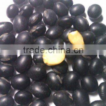 Black Soybean with Yellow Inside