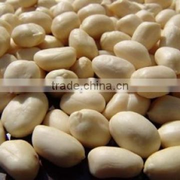 Blanched Java Peanuts from india