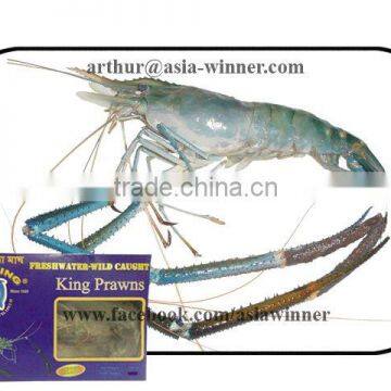 FRESH WATER PRAWN [block]