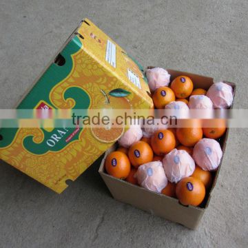 2012 Sweet and Big Navel Orange Fruits (sales promotion ! !)