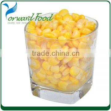 iqf sweet corn american sweet corn in can