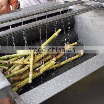 Industrial High Efficient Fresh Ginger Potato Washer and Peeler Root Vegetable Washing and Peeling Machine Fish Skin Peeler photo-4