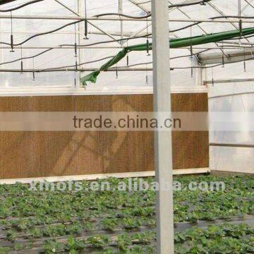 Evaporative Cooling Unit for Greenhouse / Chicken House (OFS)