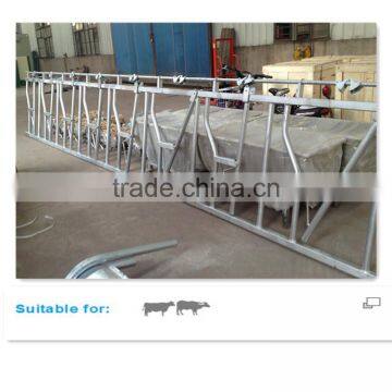Galvanized Steel Pipe Cow Healock for 8 Cows Locking