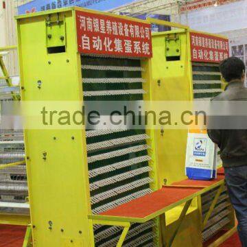 China factory automatic egg collection system