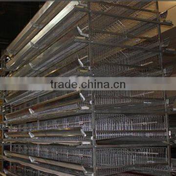 H type broiler chicken cage for Africa