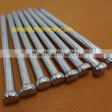 Galvanized concrete nails fluted Shank&twisted shank/steel nail