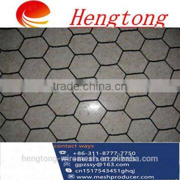 galvanized Hexagonal wire netting/safety netting/wire mesh