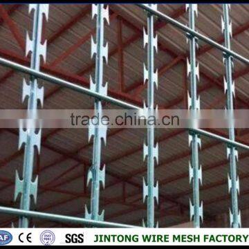 Concertina Wire Coils Razor Wire Mesh photo-2