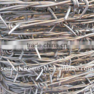 galvanized barb wire