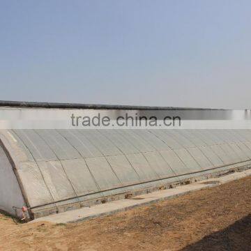 BaoLiDa Agriculture Used Greenhouse photo-4