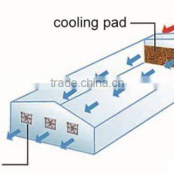 Galvanized Steel Frame Large Glass Agricultural Greenhouses photo-5