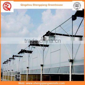 Agriculture Equipment Multi-span 6.0m PO Film Greenhouse for Sale photo-6