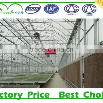 Polycarbonate Sheet Greenhouse