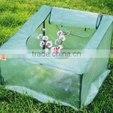 Growhouse and Multi Cloche Range for Flower and Plant photo-5