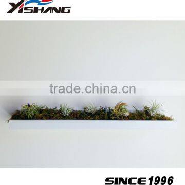 Wholesale Plant Pot Metal Living Room Wall Decor photo-3