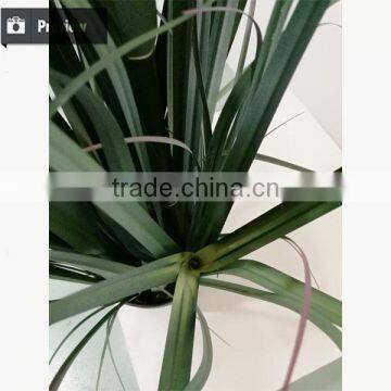Wholesale Artificial Grass Synthetic Potted Grass Onion Grass With Bulrush photo-5