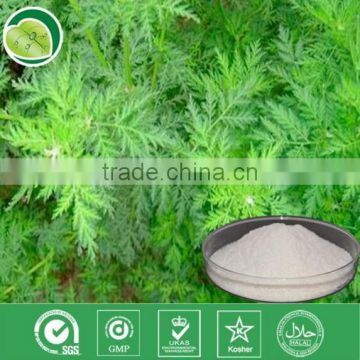 GMP factory artemisia annua sweet wormwood herb artemisia carvifolia 98% 99% white crystalline powder cure malaria