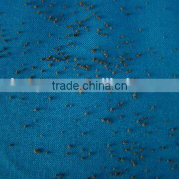 Single Herb Extract Granule Single Herb Granule photo-2
