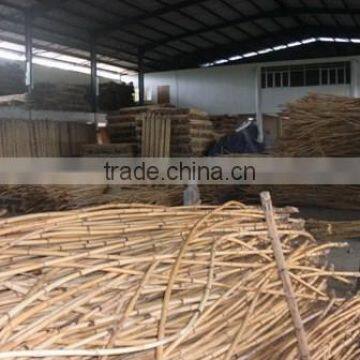 Raw Manau Rattan Cane Roots photo-4