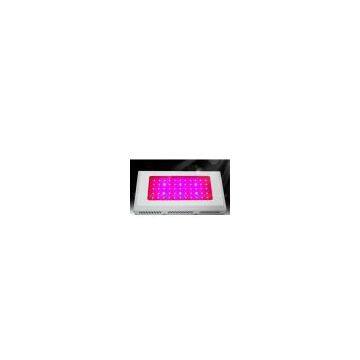 55 X 3W White LED Greenhouse Lighting, Led Plant Growing Lights / Lamp Panel 50 / 60HZ