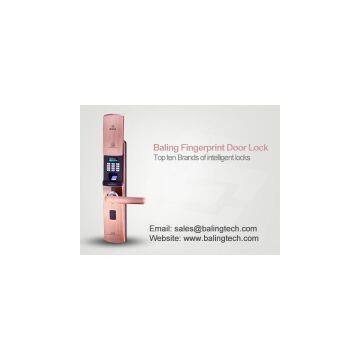 high quality high-end fingerprint door lock, keypad door lock, electronic remote control door lock  famous manufacturer