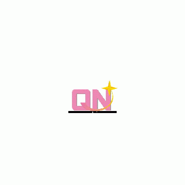 Q&N Enterprices Co., Ltd.