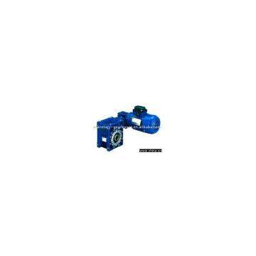 electric reducer/ worm reducer/ worm gearbox/ worm reductor/ worm gear box