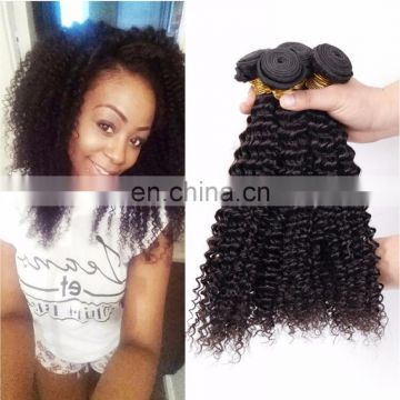 2017 hot sale kinky curly indian hair hair salon equipment