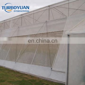 clear plastic mesh fly security screen polyethylene insect net greenhouse