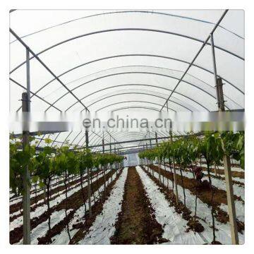 High Quality Cheap Price Agricultural Indoor Solar Greenhouse Frame With Plastic Sheet Tent photo-5