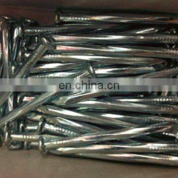 High quality concrete nails strong nails carbon steel nail