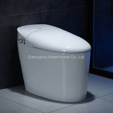 Smart Toilet K19028 Three Memories Fit a Family Intelligent Toilet Hot Selling Model